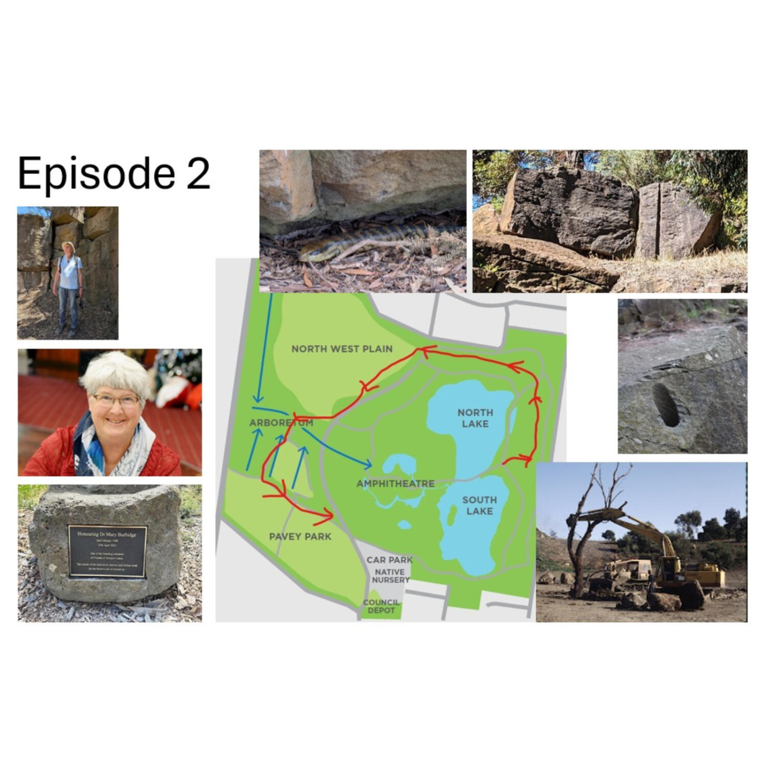 Walking aQuarrying, terracing, change since 1980s, birds, trees.